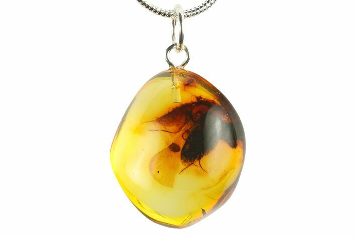 Polished Baltic Amber Pendant (Necklace) - Contains Fly! #272037